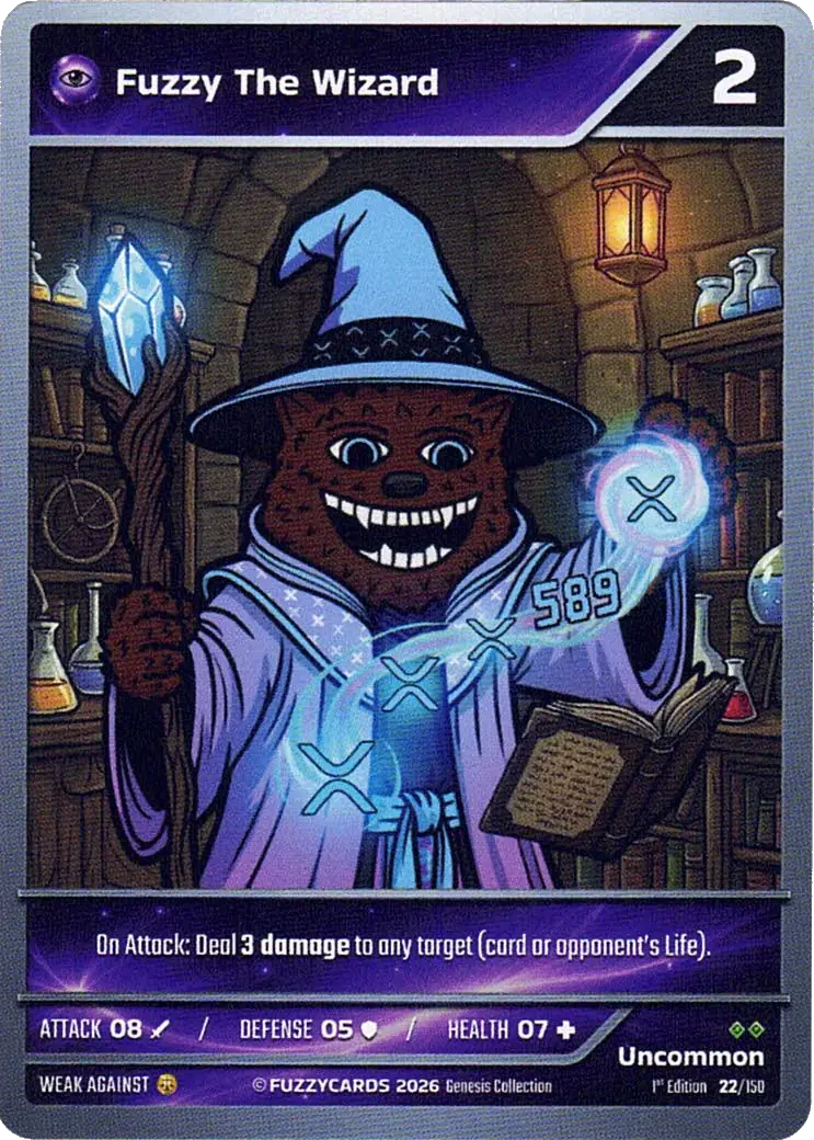 Fuzzy The Wizard